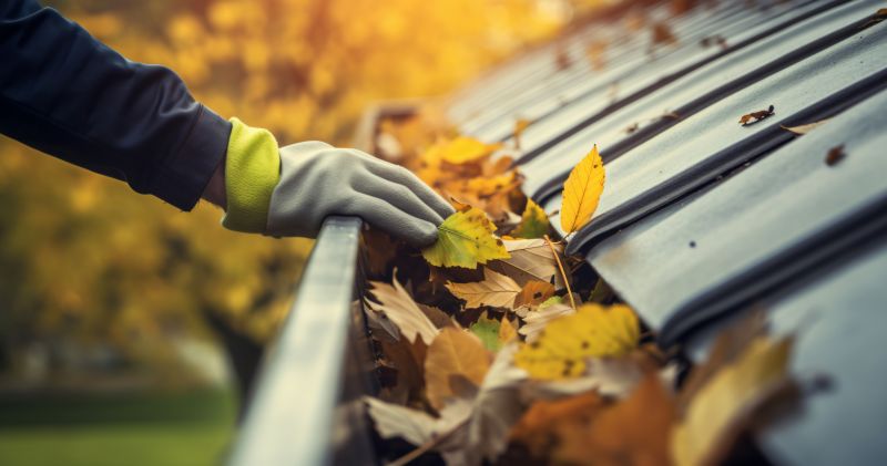 Gutter Cover Maintenance in Fall