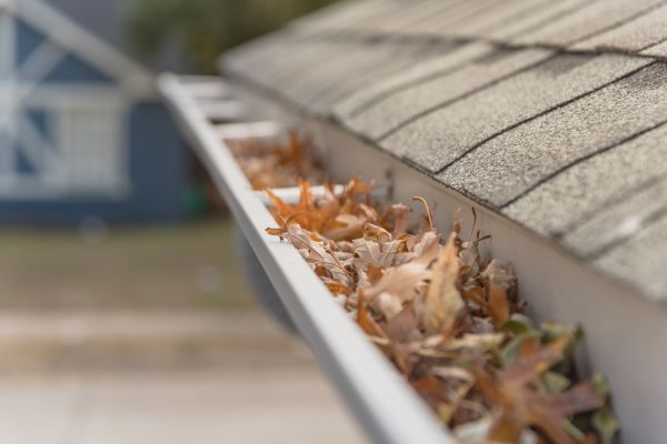 Leaf Barrier Installation in Jasper